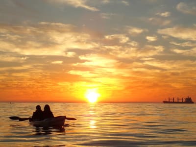 Kajaktour bei Sonnenuntergang von der Tafelbucht, Südafrika