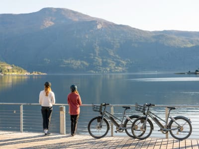 Croisière en bateau dans les fjords et randonnée à vélo de Sogndal à Fimreite et Haug Gard