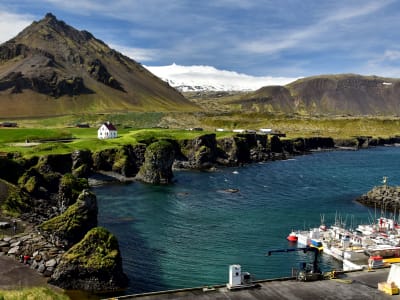 Excursión al Parque Nacional de Snæfellsnes