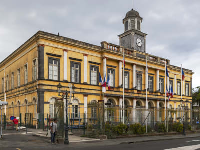 Guided Van Tour in Saint-Denis, Reunion Island