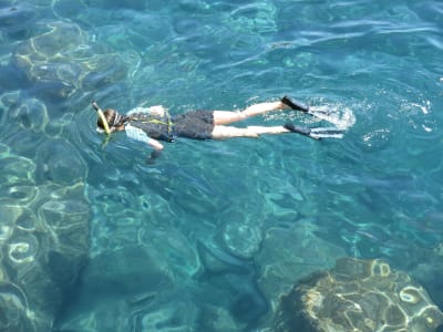 Alquiler equipo de snorkel en Funchal, Madeira