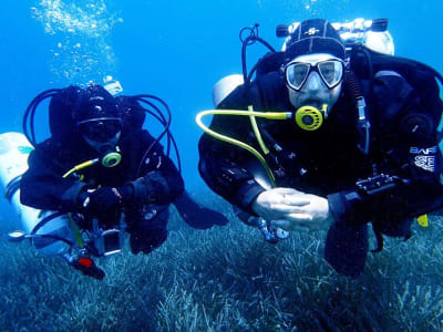 PADI Open Water Diving Kurs in Porto Rafti, Athen