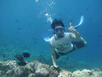 Excursión de snorkel en Faial, Portugal