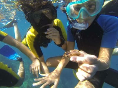 Snorkeling à Riomaggiore, Cinque Terre