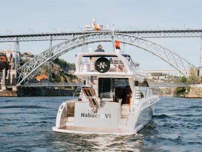 Private boat tour on Porto's six bridges