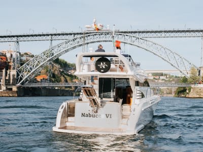 Excursion en bateau privé de la Marina do Douro à Foz do Douro, Porto