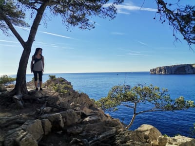 Guided hiking in the Calanques National Park, Marseille