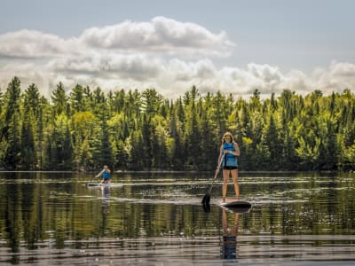 Alquiler de Stand-up Paddle en el Lago Arthabaska en el Parque Nacional Grands-Jardins, Charlevoix