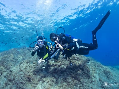 First Scuba Dive in Cap Cerbère