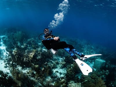 Plongée exploration aux Trois-Îlets, Martinique