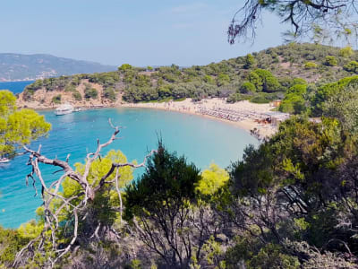 Excursión de un día en barco desde Skiathos