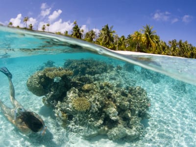 Schnorcheln mit einem Mini-Unterwasser-Scooter in der Lagune von Taha'a von Uturoa, Raiatea