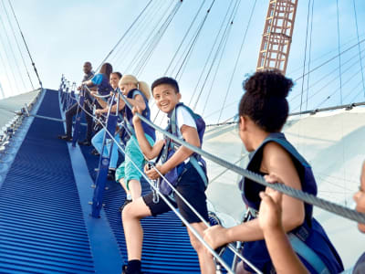 Climbing experience on The O2 Arena in London