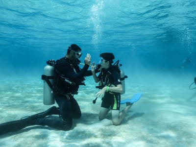 Descubra el submarinismo en Bora Bora