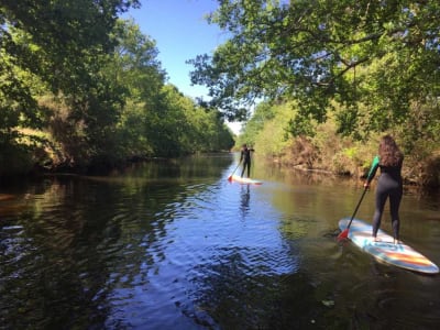 Paseo en Stand-Up Paddle en Biscarrosse