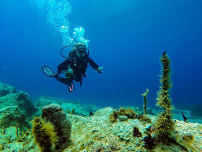 Descubre el buceo en Vathy, Ítaca