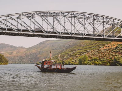 Excursión privada en barco Rabelo por el valle del Duero, cerca de Oporto