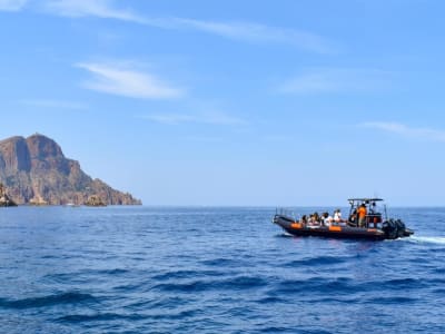 Bootsfahrt zum Naturschutzgebiet Scandola ab Calvi