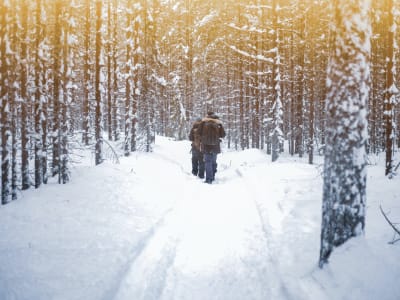 Schneeschuhwanderung von Rovaniemi aus