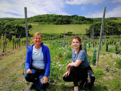 Randonnée dans les bois de Vienne et dégustation de vins