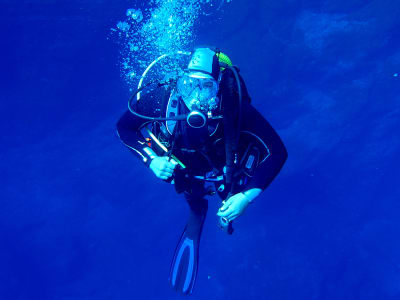 Adventure dive in Marine Reserve Arrábida near Lisbon