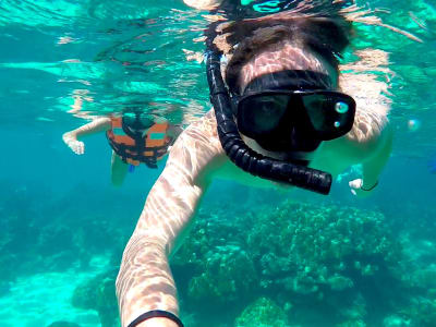 Snorkeling excursion in Madeira