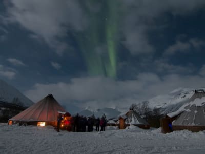 Nordlichter bobachten im Camp Tamok von Tromsø aus