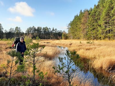 Excursion dans le parc national de Liesjärvi au départ du centre d'Helsinki