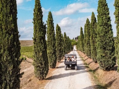 Buggy safari dans le Chianti près de Sienne