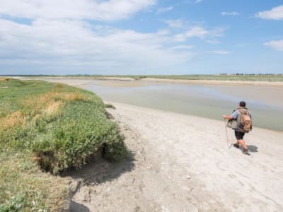 Geführte Wanderungen in der Baie de Somme