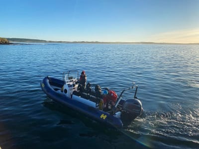 Excursión privada en semirrígida por las Islas del Norte desde Skerray Bay