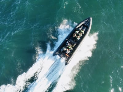RIB Tour Between Marstrand & Gothenburg