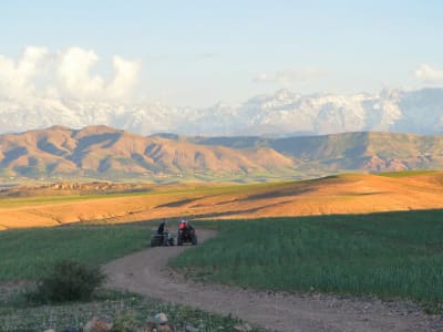 Camel and buggy or quad biking excursions in Palmeraie, Marrakech