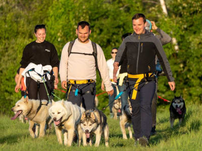 Hike with Sled Dogs at the Saguenay Fjord, near Tadoussac