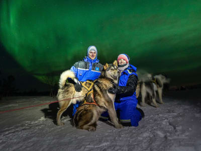 Northern Lights Dog Sledding Safari from Kirkenes