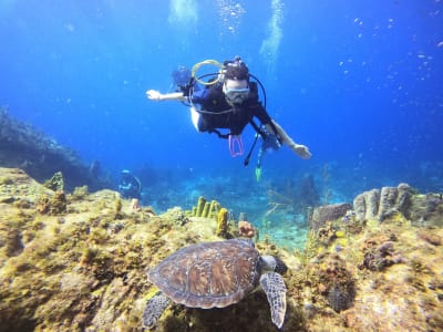 Level 1 Tauchausbildung in Les Anses-d'Arlet an Bord eines Katamarans, Martinique