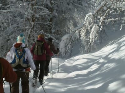 Snowshoe Excursion in Les Menuires, Vallée des Belleville