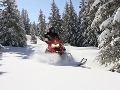 Excursión guiada con motos de nieve y raquetas en Chamrousse, cerca de Grenoble