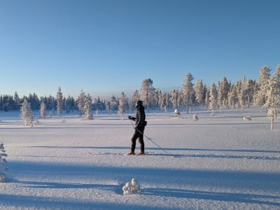 Backcountry Skiing Tour from Saariselkä