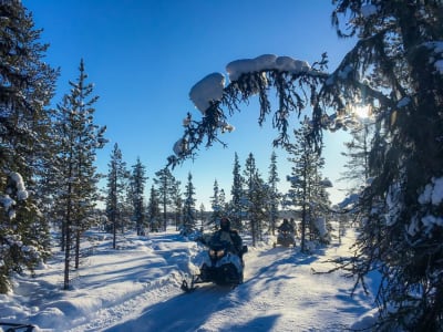 Excursion en motoneige dans l'Arctique à Kiruna