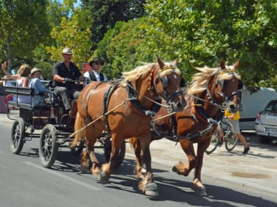 Kutschenfahrt in Lansargues, in der Nähe von Montpellier