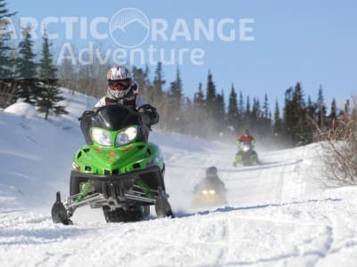 Excursión en moto de nieve por el Yukón desde Whitehorse