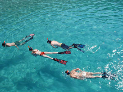 Excursion snorkeling en bateau depuis Santa Ponsa, Majorque