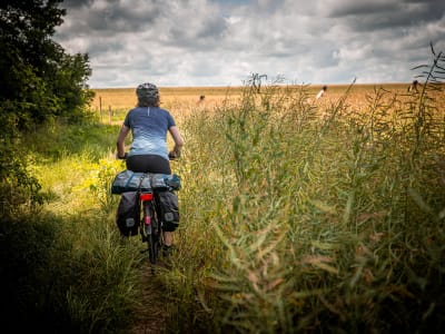 Alquiler de bicicletas de montaña cerca de Versalles, en los Yvelines