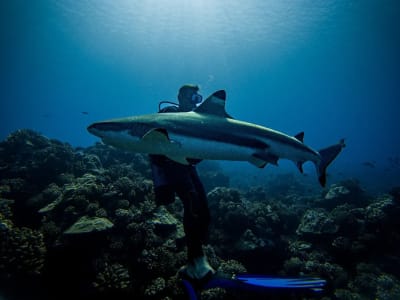 Plongée exploration à Raiatea, Polynésie française