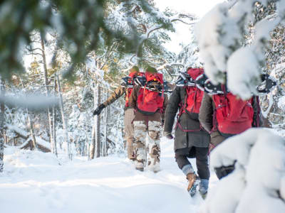 Snowshoe Hike in Stockholm