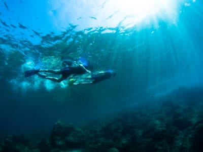 Excursion snorkeling guidée au Cap Mala et dans la rade de Villefranche-sur-Mer depuis Nice