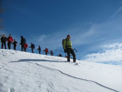 Caminata guiada con raquetas de nieve en La Meije, La Grave