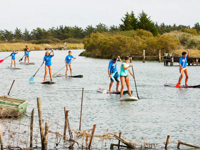 Guided stand up paddle tour in Les Sables-d'Olonne