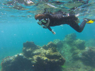 Snorkeling excursion in Puerto del Carmen, Lanzarote